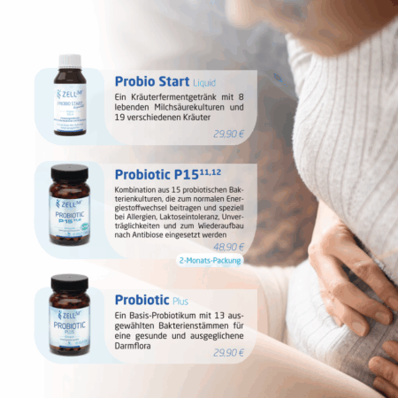 Aufsteller-Zell38-A5 - Darmgesundheit