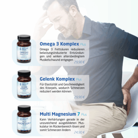 Aufsteller-Zell38-A5 - Rücken- & Gelenkschmerzen